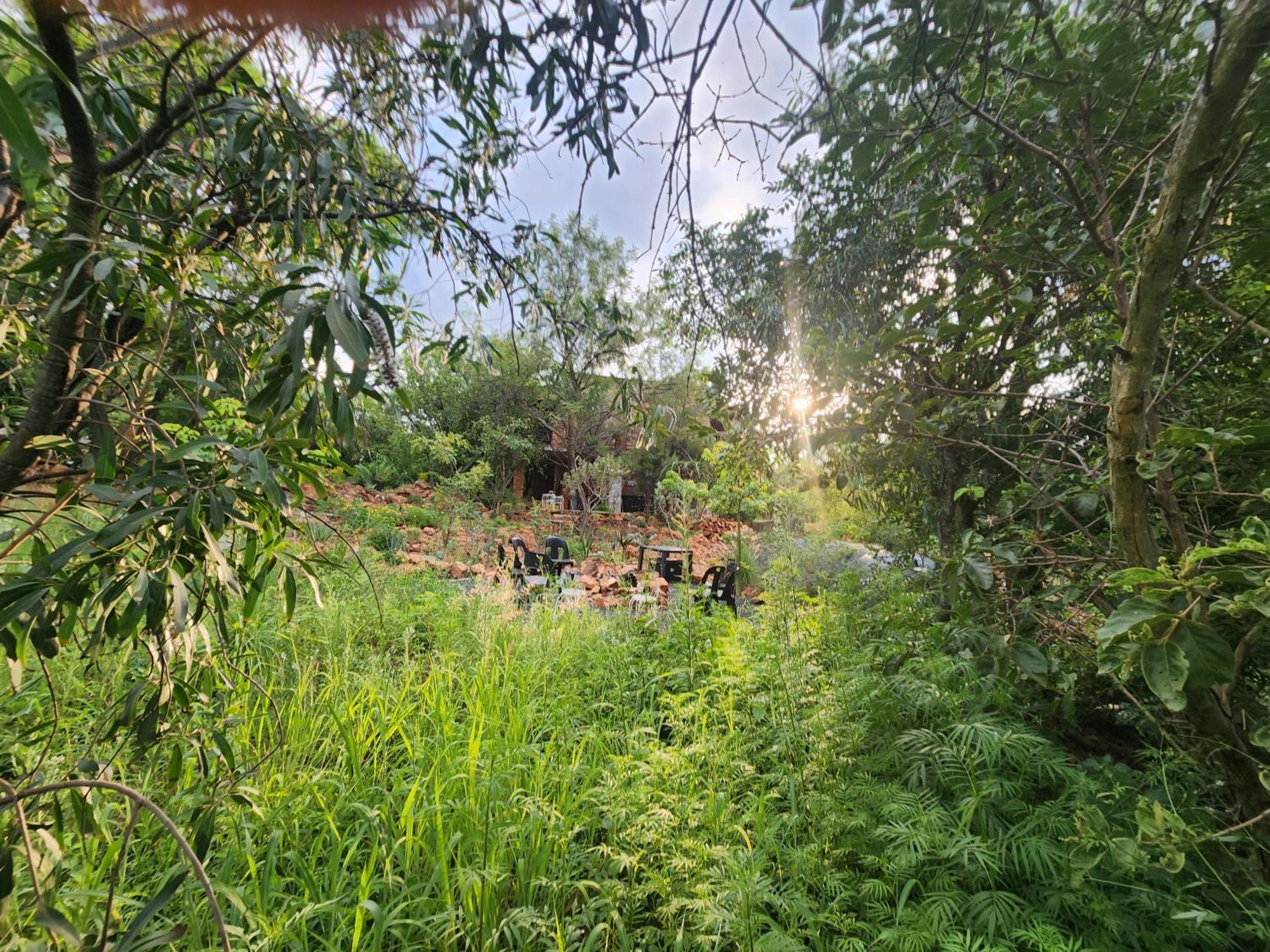 Pretoria-NoordSuikerbosrant Sleep And Go住宿加早餐旅馆 外观 照片